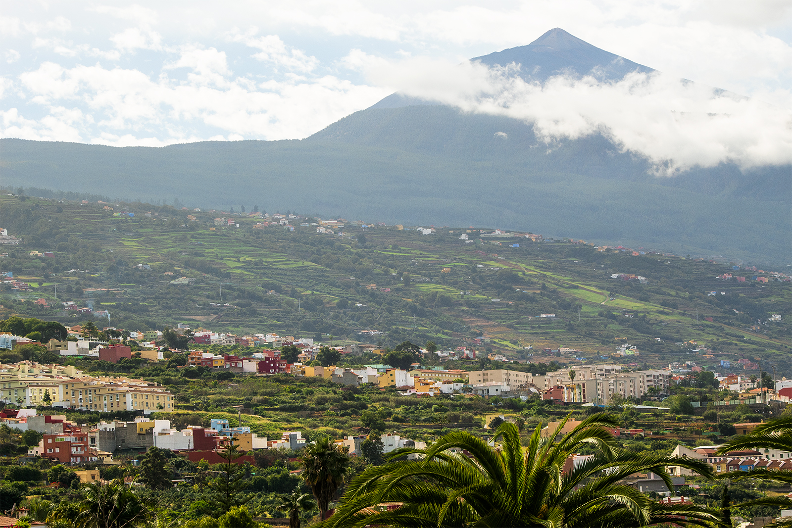 Dreamliving Tenerife 