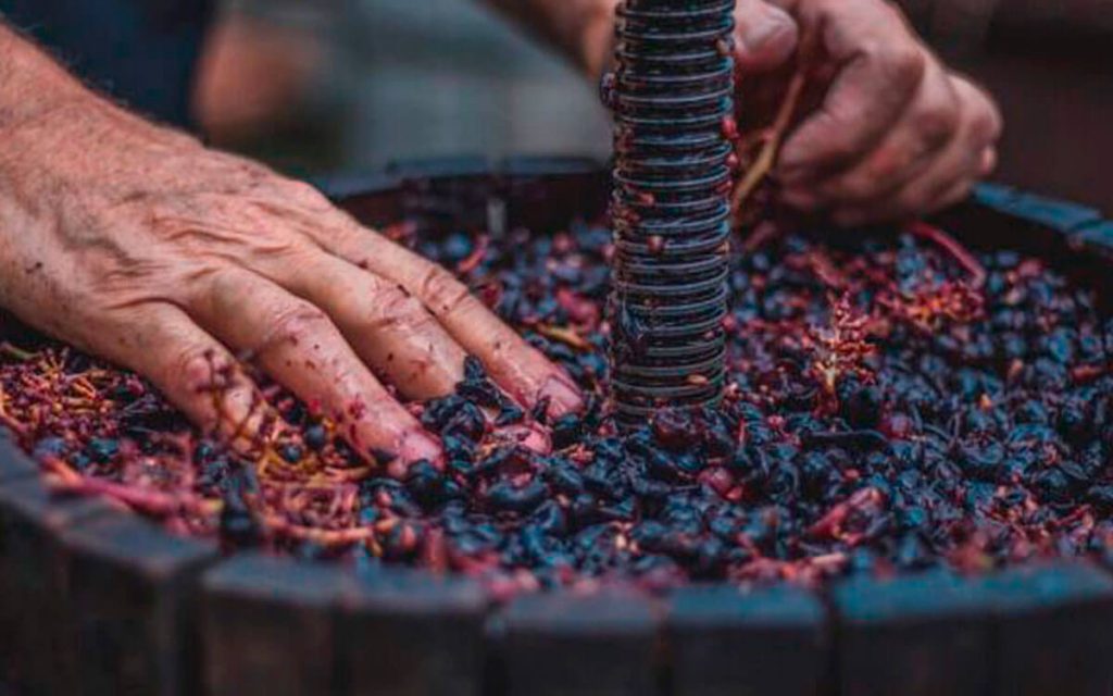 vinos naturales